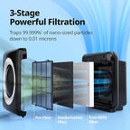 Coway AP-1512HH Mighty Air Purifier with True HEPA and Eco Mode, black/silver, 16.8 x 18.3 x 9.6