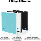2 Set RFM80 Replacement Filter Compatible with Max Air Purifier (Model OVHM80), Replacement Part# RFM80, 4 Extra Pre-Filters + 2 Efficiency Filter + 2 Activated Carbon Filter