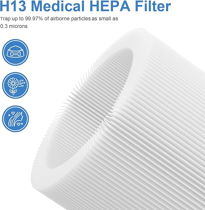 Premium Replacement Filter Compatible with Tenergy Renair, Cool-Living CL-6070A, Beaba, Tredy TD-1300 Air Purifier for Home Large Room, 2 Packs