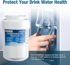 Water Filter Replacement Compatible with GE MWF, SmartWater MWFP, MWFA, GWF, HDX FMG-1, WFC1201, RWF1060, 197D6321P006, Kenmore 9991, Pack of 2, By DESENRUIS