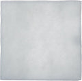 iPower 6 Inch Replacement Pre-Filter for 6" Carbon Filter
