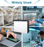 Laminar Flow Hood with H13 HEPA Filter (20"x15"）, FFU Class 100 / ISO 5 Clean Bench with Light for Mycology, Mushroom Cultivation, Lab & Cleanroom, 24V DC with 100–240V Adapter