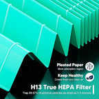 Vital 200S Toxin Absorber Replacement Filter for LEVOIT Vital 200S and Vital 200S-P Air Purifier, True HEPA and High-Efficiency Activated Carbon Filter, Vital 200S-RF-TX, 2 Pack, Green