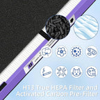 FLT4850PT HEPA Filter B Pet Replacement Compatible with G-GuardianAir Purifier AC4825 AC4825E AC4850PT AC4300 AC4800 AC4900 AC4850,2 H13 True HEPA Filters & 8 Activated Carbon Pre-Filters,#FLT4825