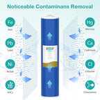 SimPure Whole House Water Filter Cartridges 20" x 4.5" GAC/KDF Carbon and Heavy Metal Filter, For DB20P, WHB20, FG25B-KS, WGB32B-KS, ‎FLTWH2045K, 6 Pack