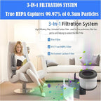 Replacement Filter For InvisiClean Stella IC-2010 Air Purifiers: 3 Pack H13 True H-EPA Activated Carbon filters used for Bedroom and Office bedroom, living room, kitchen or office