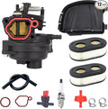 285286 Carburetor Kit For Troy-Bilt 875exi Power Washer Compatible with Briggs and Stratton 597096 595553 875 exi series Engines With Air Filter/Cover