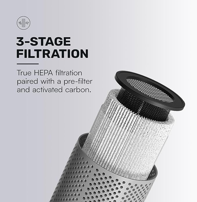 Raycon Portable Air Purifier, H13 Replaceable Hepa Filter, Adjustable Speeds, 2-in-1 Fragrance Diffuser and Air Purifier, Living Essentials (White)