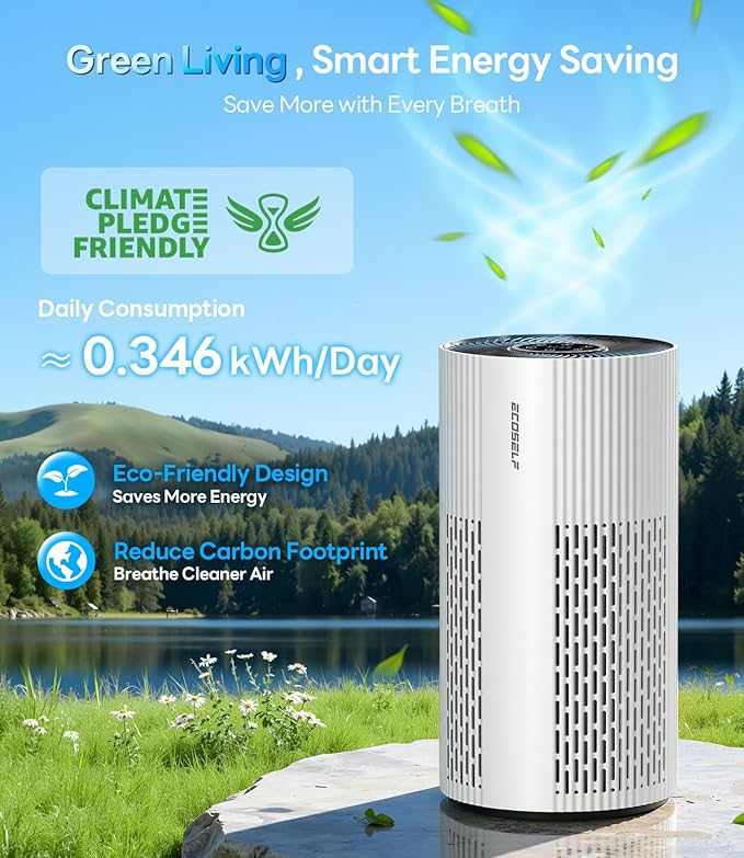 Genuine Ecoself Air Purifier Replacement Filter for HAP604, 3-In-1 Air Filter with Efficiency Activated Carbon Filtration System, 2 Pack, White