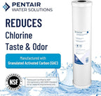 Pentair Pentek RFC-20BB Big Blue Carbon Water Filter, 20-Inch, Whole House Heavy Duty Radial Flow Carbon Replacement Cartridge with Granular Activated (GAC) Filter, 20" x 4.5", 25 Micron