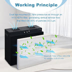 Laminar Flow Hood with H13 HEPA Filter (20"x15"）, FFU Class 100 / ISO 5 Clean Bench with Light for Mycology, Mushroom Cultivation, Lab & Cleanroom, 24V DC with 100–240V Adapter