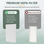 115115 Replacement Filters A Size 21 for Winix PlasmaWave 5300-2, C535, 6300, 5300, 6300-2, P300, AM90, 9000, 5000, 5000B, C909, 9800 Air Purifier, 2 True HEPA Filters + 8 Carbon Pre-Filters