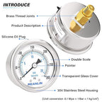 MEANLIN MEASURE 0~300Psi Dry Pressure Gauge Stainless Steel 1/8" NPT 2" FACE DIAL Waterproof for Air Compressor Air Regulator Water Filter Back Mount, with 1/4" NPT and 3/8" NPT Hex Bushing