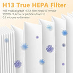 2 Packs F1 Replacement Air Filter Compatible with 3M Filtrete FAP-C01-F1, FAP-T02-F1, FAP-C01BA-G1, FAP-T02WA-G1, FAP-ST02W and FAP-ST02N Room Air Purifi-er