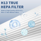2 Pack C545 True HEPA Replacement Filter S Compatible with Winix C545, B151, P150, 9300 Air Purifier Replacement for Winix S Filter Part 1712-0096-00 and 2522-0058-00 by Funmit
