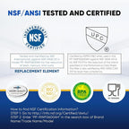 PUREPLUS NSF/ANSI 401, 53, 42 & NSF P473 Certified Replacement for HDX FMG-1, PL-100, WFC1201, PC75009, RWF1060, RWF0600A, 469991 Refrigerator Cartridge,2Pack
