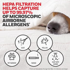 Honeywell HEPA Air Purifier Filter Replacement Kit for HPA300,HPA3300,HPA5300,HPA8350 series Air Purifiers,Value Combo Pack Includes 3 HEPA R & 4 A Carbon Pre-Cut Pre-Filters,(Pack of 4)