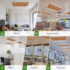 Tropical Plant Cactus Fluorescent Light Covers 2 Pack Western Cowboy Horse Sunset Deserts Brown Magnetic Fluorescent Ceiling Lights Filters for Office Classroom Home Drop Ceiling 4x2 Feet