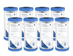 Pentair Pentek R50-BB Big Blue Sediment Water Filter, 10-Inch, Whole House Pleated Polyester Filter Cartridge, 10" x 4.5", 50 Micron, Pack of 8, White