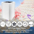 2 Pack CAP-1000 Replacement Filter Compatible with Cuisinart CAP-1000FPK PuRXium Air Purifier, 3 in 1, H13 True HEPA with High-Efficiency Activated Carbon