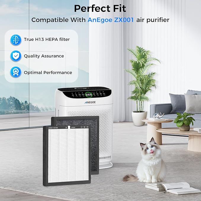 Replacement HEPA Filters Compatible with AnEgoe ZX001 Air Purifier,3 Stage H13 True HEPA Filter for Air Purifiers for Home Large Room up to 2500Ft²,Air Cleaner Filter,2 Pack