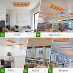 Tropical Plant Cactus Fluorescent Light Covers 2 Pack Western Cowboy Horse Sunset Deserts Orange Magnetic Fluorescent Ceiling Lights Filters for Office Classroom Home Drop Ceiling 4x2 Feet