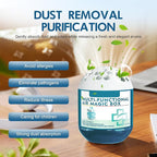 Indoor Air Purification Dust Removal Magic Box, Multi-Functional Air Magic Box Purifier, Long-Lasting Freshness, No Electricity & Noise (2pcs)