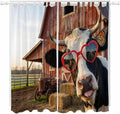 Farm Cows Living Room Curtains 84 Inch Length, Window Curtains Tab Top, Farmhouse Barn Funny Animals Butterfly Light Filtering Window Treatments Drapes 52"x84" 2 Panel