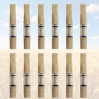 Cigarette Filters Wheat Straw 12pcs Cigarette Holder Reusable Clean Tar Tobacco Filter with Multi-Filtering for Standard Size Cigarettes Ø8mm,Slim Cigarettes Ø6mm and Ø5mm
