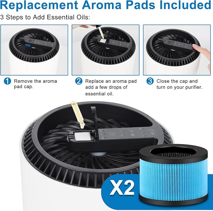 2 Pack MK01 MK06 Air Filter Replacement Compatible with Aroeve MK01 MK06, ToLife TZ-K1 and Kloudi DH-JH01 Filter, Standard Version, Blue