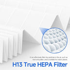 2-Pack JH-028A Replacement Filter Compatible with BlueDate JH-028A Purifier, 3-in-1 Filtration Filter