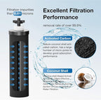 Black Purification Elements Replacement for Berkey® BB9-2® & Big Berkey® Gravity Water Filter System, Compatible with ProOne® Big+ & Purewell Filters, High-Efficiency Carbon Elements (2 Pack)