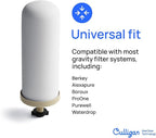 Culligan MaxClear 7” Gravity Water Filter Replacement Compatible with ProOne & Berkey Water Filter Systems, Ceramic & Carbon Filter NSF/ANSI Certified, Reduce Total PFAS, Microplastics & Lead, 2-Pack