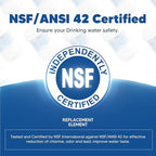Water Filter Replacement Compatible with GE MWF, SmartWater MWFP, MWFA, GWF, HDX FMG-1, WFC1201, RWF1060, 197D6321P006, Kenmore 9991, Pack of 4, By DESENRUIS