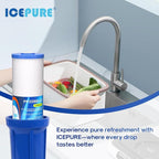 ICEPURE 5 Micron 20" x 4.5" Whole House Sediment Water Filter Cartridge Replacement for AP810-2, SP-DD-5005-20BB, DGD-5005-20, FPMB5-20, P5-20BB, FP25B, SDG-45-2005, CMMF0520-45W1, 4PACK