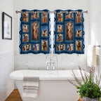 2 Panel Kitchen Cafe Curtains, Desert Camels Sunlight Filtering Nature Air Through, Home Decor Window Covering Tier Curtains for Bedroom Living Room Wildlife Brown Animals Blue Geometric
