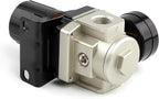 SNS AR4000-N04 Female Thread 1/2 NPT Air Pressure Regulator 0-150 PSI Adjustable,Bracket,Gauge
