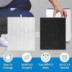 D480 True HEPA Replacement Filter D4, Compatible with Winix D480 Air Purifier, Compare to D4 Filter, Item Number 1712-0100-00, 1 H13 True HEPA Filters + 4 Activated Carbon Pre-Filters
