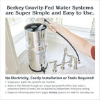 Berkey Authentic Black Berkey Purification Elements - Berkey Water Purifier Replacement Filters (Pack of 2)