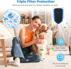 Air Ionizers Plug In Negative Ion Air Purifiers Quiet Air Freshener for Home Bedroom Office Basement - Portable Mini Air Cleaner Odor, Smoke, Dust, Pet Smell (2, Black)