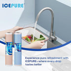 ICEPURE 4.5"x 20" Whole House CTO Carbon Water Filter, 20 Inch Water Filtration System Combo Kit with KDF Cartridge and Upgraded Activated Carbon Lead Remove Filter Replacement for Home, 1 Pack