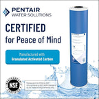 Pentair Pentek GAC-BB Big Blue Carbon Water Filter, 10-Inch, Whole House Heavy Duty Granular Activated Carbon (GAC) Replacement Cartridge, 10" x 4.5", Pack of 8