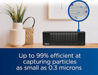 Brother AirSure DF-2 Dynamic Filtration Tabletop and Portable Air Purifier, Aids in Capturing Foreign Particles, Face, Close Contact Situations, Black