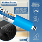 Reverse Osmosis Alkaline pH+ Water Filter Set | 10 Replacement Water Filters with 100 GDP Membrane | 1 Year Supply | Under Sink RO Water Filter | PP, GAC, CTO, ROM, PC, ALK | Universal 10 Inch Size
