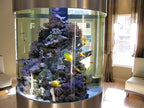 Kolar Labs Crystal Cal Activated Carbon – Small Jar, Activated Charcoal for Aquariums and Fish Tanks