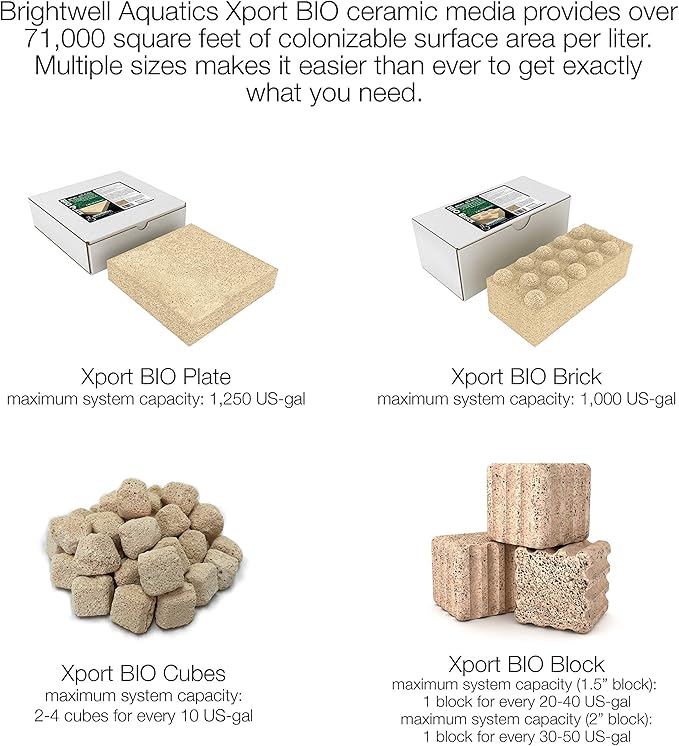 Brightwell Aquatics Xport BIO Cubes - Ultra-Porous Biological Filter Media for Filtration in Marine and Freshwater Aquariums, 1000-ml (XPCubeBIO1000)