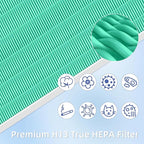 4 Pack 116130 HEPA Toxin Absorber Replacement Filter H for Winix 5500-2 Am80 Plasmawave Air Purifier True HEPA Filter,Green