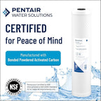Pentair Pentek CBC20-BB Big Blue Carbon Water Filter, 20-Inch, Whole House Carbon Block Replacement Cartridge with Bonded Powdered Activated Carbon (PAC) Filter, 20" x 4.5", 0.5 Micron, Pack of 4
