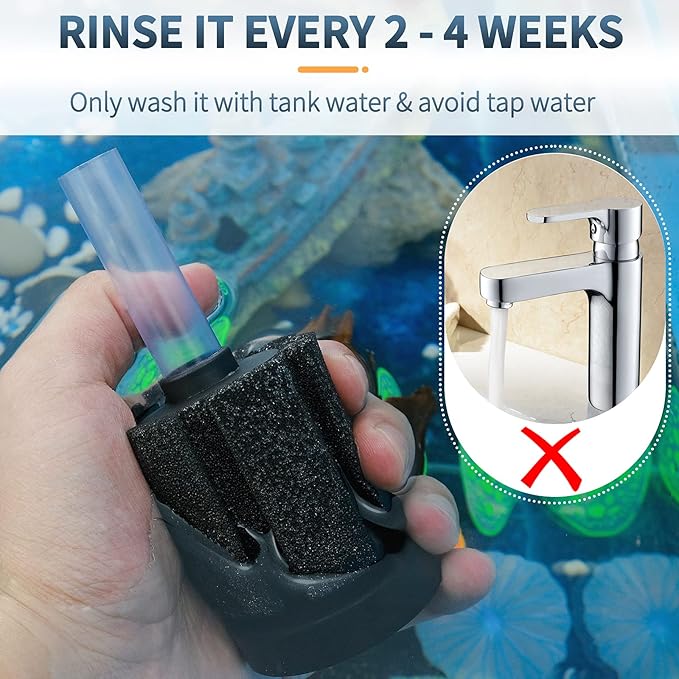 Pawfly 3 Pack Aquarium Sponge Filter Quiet Betta Fry Shrimp and Small Fish Foam Filter for Tiny Fish Tank up to 10 Gallon