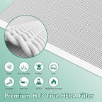 4 Pack C545 True HEPA Replacement Filter S Compatible with Winix C545, B151, P150, 9300 Air Purifier, Ture HPEA Filter S Only, Part number 1712-0096-00